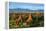 South East Asia, Myanmar, Bagan, Temples on Bagan Plain-Christian Kober-Framed Premier Image Canvas