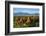 South East Asia, Myanmar, Bagan, Temples on Bagan Plain-Christian Kober-Framed Photographic Print