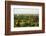 South East Asia, Myanmar, Bagan, Temples on Bagan Plain-Christian Kober-Framed Photographic Print