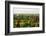 South East Asia, Myanmar, Bagan, Temples on Bagan Plain-Christian Kober-Framed Photographic Print