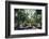 South East Asia, Myanmar, Bago, Four Figures Paya-Christian Kober-Framed Photographic Print