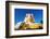 South East Asia, Myanmar, Bago, Kyaik Pun Paya, Gautama Buddha-Christian Kober-Framed Photographic Print