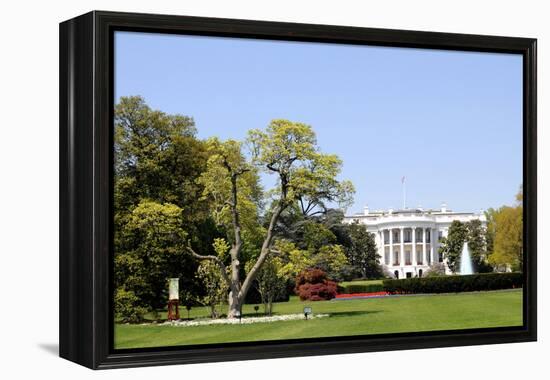 South Facade and South Lawn of the White House in Washington DC in Spring Colors-1photo-Framed Premier Image Canvas