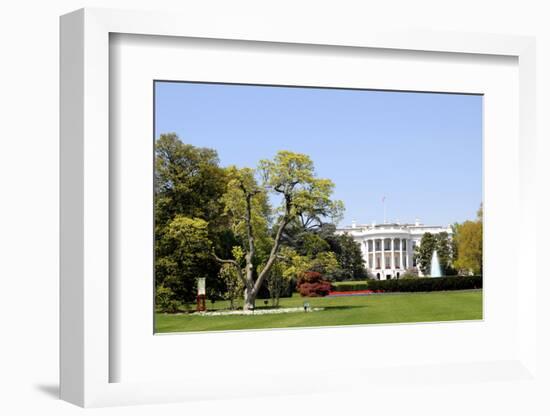 South Facade and South Lawn of the White House in Washington DC in Spring Colors-1photo-Framed Photographic Print