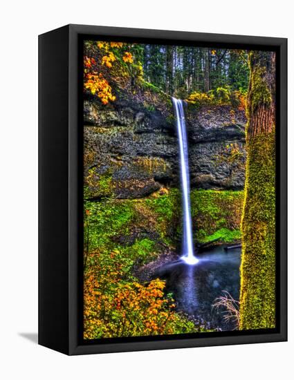 South Falls at Silver Falls State Park, Oregon, USA-Joe Restuccia III-Framed Premier Image Canvas