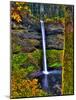 South Falls at Silver Falls State Park, Oregon, USA-Joe Restuccia III-Mounted Photographic Print