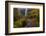 South Falls in Autumn at Silver Falls State Park, Silverton, Oregon-Chuck Haney-Framed Photographic Print