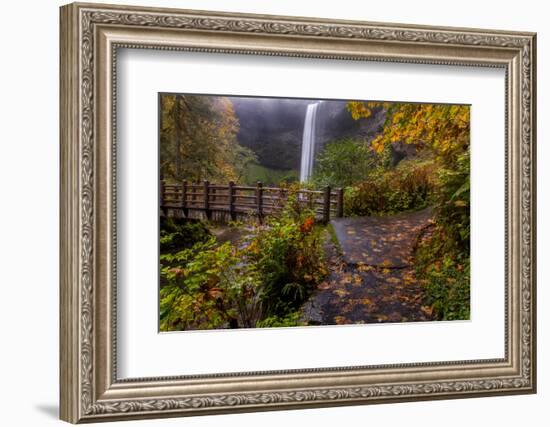 South Falls in Autumn, Silver Falls State Park Near Silverton, Oregon-Chuck Haney-Framed Photographic Print