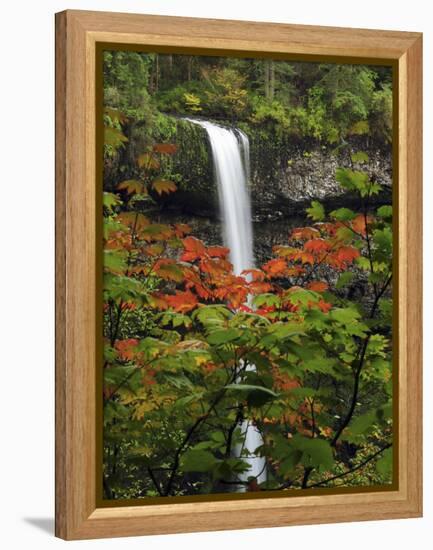 South Falls in Autumn, Silver Falls State Park, Oregon, USA-Michel Hersen-Framed Premier Image Canvas