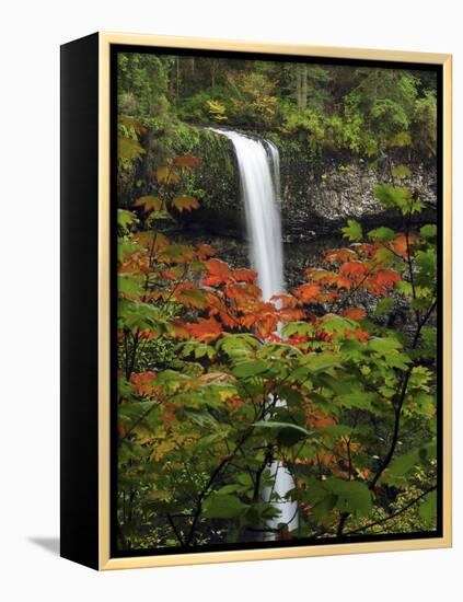 South Falls in Autumn, Silver Falls State Park, Oregon, USA-Michel Hersen-Framed Premier Image Canvas