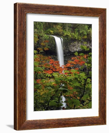 South Falls in Autumn, Silver Falls State Park, Oregon, USA-Michel Hersen-Framed Photographic Print