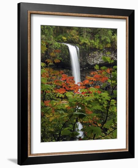 South Falls in Autumn, Silver Falls State Park, Oregon, USA-Michel Hersen-Framed Photographic Print