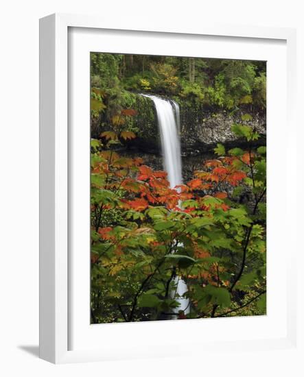 South Falls in Autumn, Silver Falls State Park, Oregon, USA-Michel Hersen-Framed Photographic Print