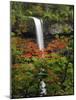 South Falls in Autumn, Silver Falls State Park, Oregon, USA-Michel Hersen-Mounted Photographic Print