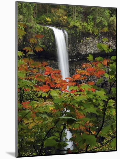 South Falls in Autumn, Silver Falls State Park, Oregon, USA-Michel Hersen-Mounted Photographic Print