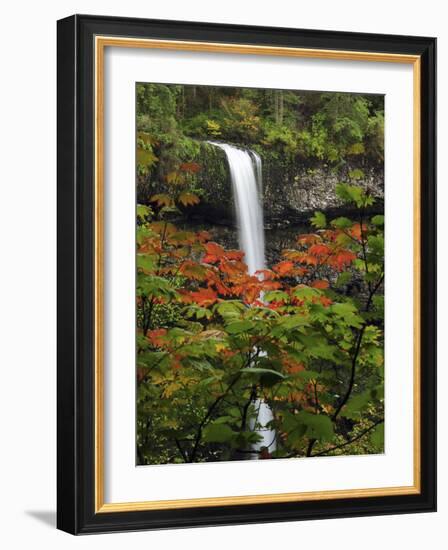 South Falls in Autumn, Silver Falls State Park, Oregon, USA-Michel Hersen-Framed Photographic Print