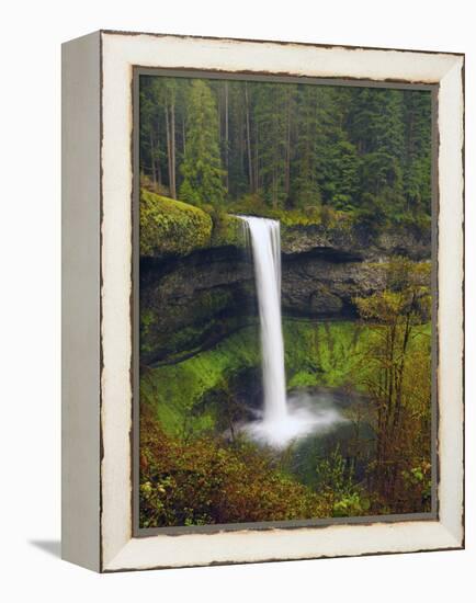 South Falls in Spring: Silver Falls State Park, Oregon, USA-Michel Hersen-Framed Premier Image Canvas