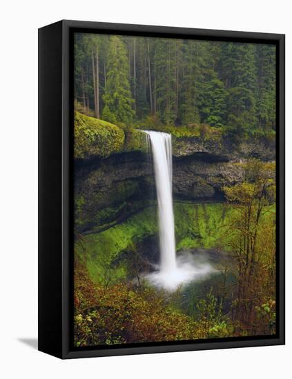 South Falls in Spring: Silver Falls State Park, Oregon, USA-Michel Hersen-Framed Premier Image Canvas