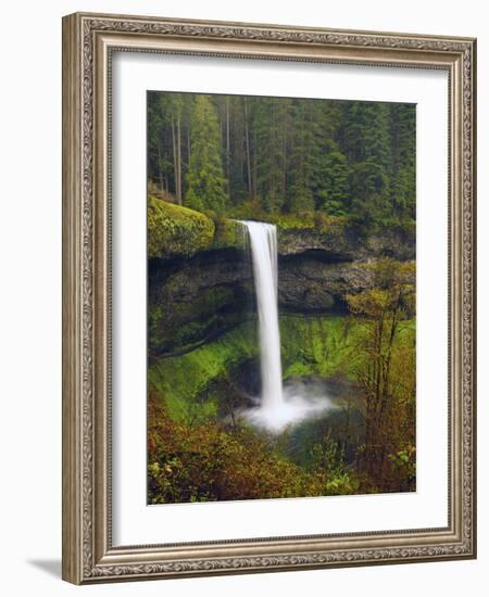 South Falls in Spring: Silver Falls State Park, Oregon, USA-Michel Hersen-Framed Photographic Print