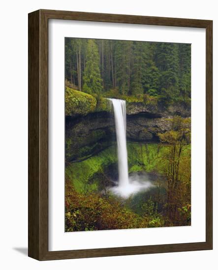 South Falls in Spring: Silver Falls State Park, Oregon, USA-Michel Hersen-Framed Photographic Print