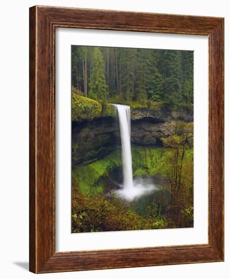 South Falls in Spring: Silver Falls State Park, Oregon, USA-Michel Hersen-Framed Photographic Print