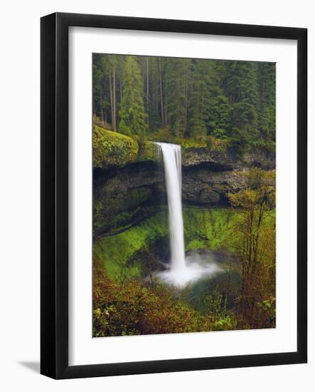 South Falls in Spring: Silver Falls State Park, Oregon, USA-Michel Hersen-Framed Photographic Print