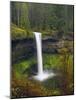 South Falls in Spring: Silver Falls State Park, Oregon, USA-Michel Hersen-Mounted Photographic Print