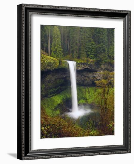 South Falls in Spring: Silver Falls State Park, Oregon, USA-Michel Hersen-Framed Photographic Print