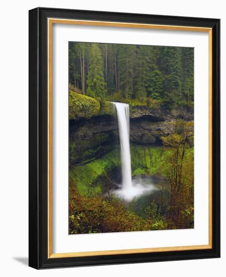 South Falls in Spring: Silver Falls State Park, Oregon, USA-Michel Hersen-Framed Photographic Print