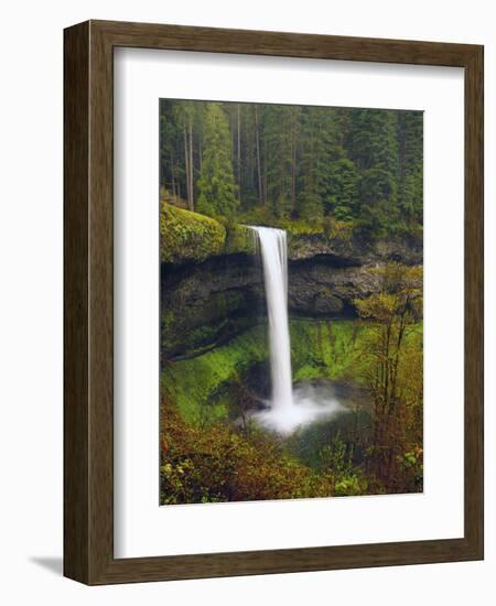 South Falls in Spring: Silver Falls State Park, Oregon, USA-Michel Hersen-Framed Photographic Print