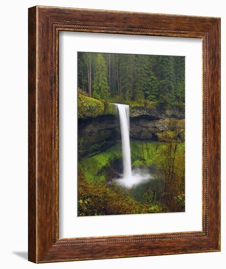 South Falls in Spring: Silver Falls State Park, Oregon, USA-Michel Hersen-Framed Photographic Print