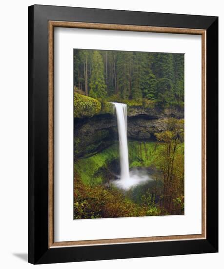 South Falls in Spring: Silver Falls State Park, Oregon, USA-Michel Hersen-Framed Photographic Print