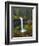 South Falls in Spring: Silver Falls State Park, Oregon, USA-Michel Hersen-Framed Photographic Print