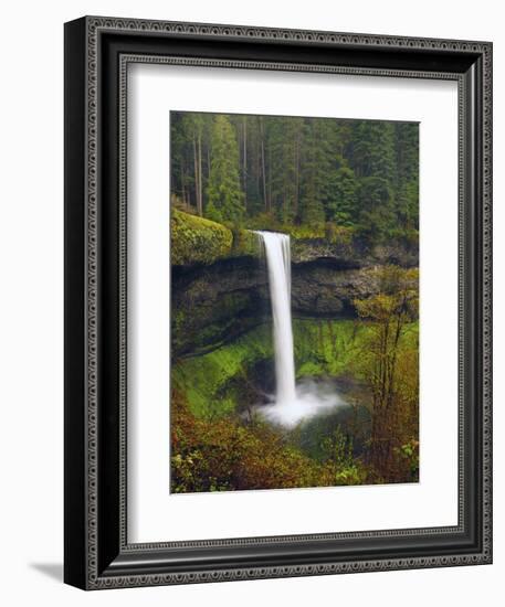 South Falls in Spring: Silver Falls State Park, Oregon, USA-Michel Hersen-Framed Photographic Print