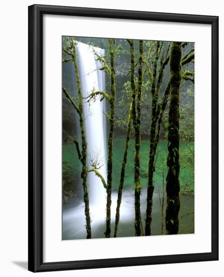 South Falls, Silver Falls State Park, Oregon, USA-Jamie & Judy Wild-Framed Photographic Print