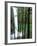 South Falls, Silver Falls State Park, Oregon, USA-Jamie & Judy Wild-Framed Photographic Print