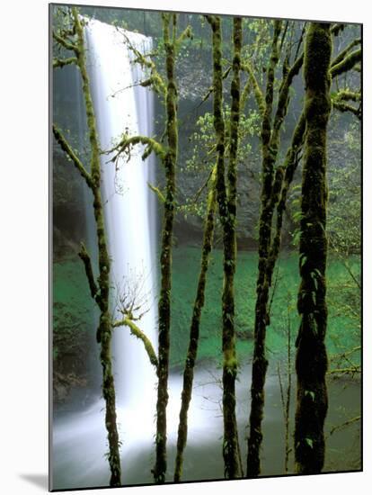 South Falls, Silver Falls State Park, Oregon, USA-Jamie & Judy Wild-Mounted Photographic Print