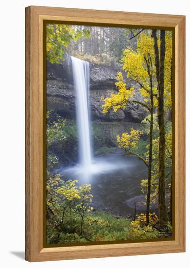 South Falls, Silver Falls State Park, Oregon, USA-Jamie & Judy Wild-Framed Premier Image Canvas