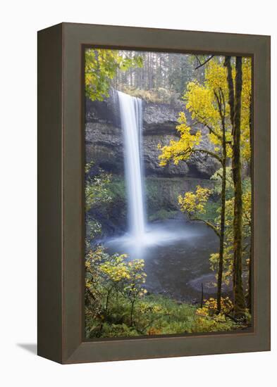 South Falls, Silver Falls State Park, Oregon, USA-Jamie & Judy Wild-Framed Premier Image Canvas