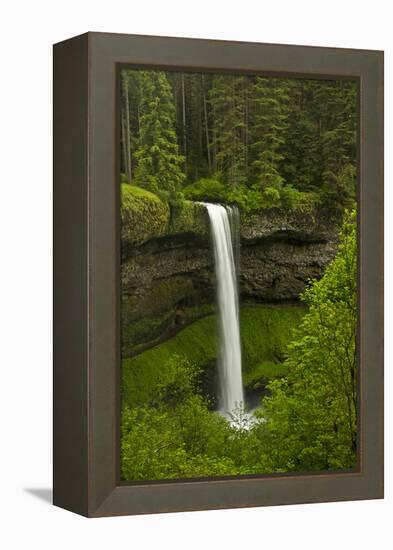 South Falls, Silver Falls State Park, Oregon, Usa-Michel Hersen-Framed Premier Image Canvas