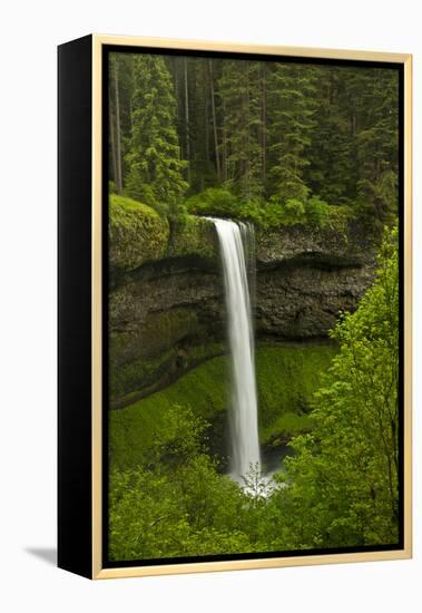 South Falls, Silver Falls State Park, Oregon, Usa-Michel Hersen-Framed Premier Image Canvas