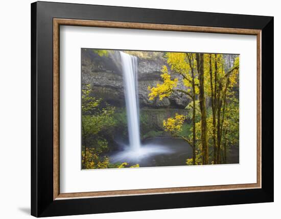 South Falls, Silver Falls State Park, Oregon, USA-Jamie & Judy Wild-Framed Photographic Print