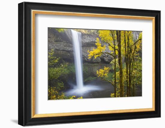 South Falls, Silver Falls State Park, Oregon, USA-Jamie & Judy Wild-Framed Photographic Print