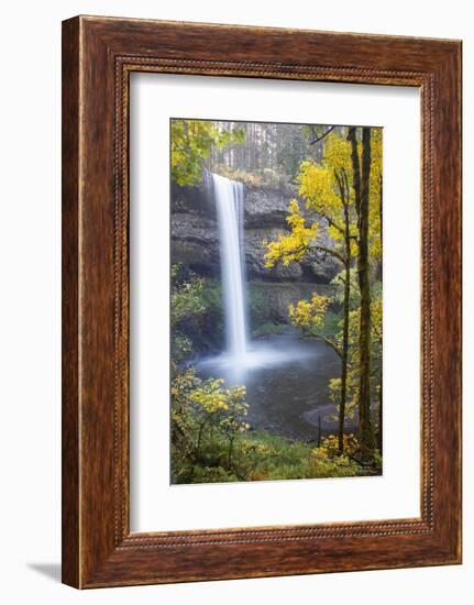 South Falls, Silver Falls State Park, Oregon, USA-Jamie & Judy Wild-Framed Photographic Print