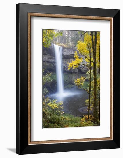 South Falls, Silver Falls State Park, Oregon, USA-Jamie & Judy Wild-Framed Photographic Print