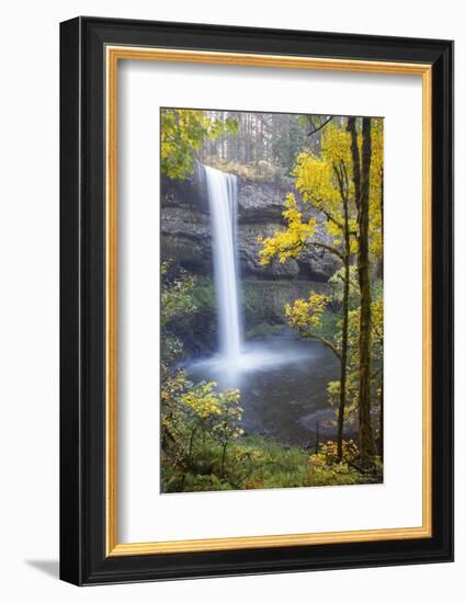 South Falls, Silver Falls State Park, Oregon, USA-Jamie & Judy Wild-Framed Photographic Print