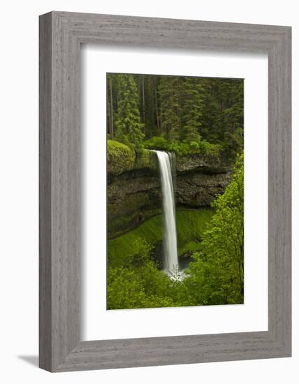 South Falls, Silver Falls State Park, Oregon, Usa-Michel Hersen-Framed Photographic Print