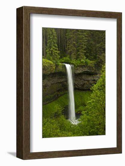 South Falls, Silver Falls State Park, Oregon, Usa-Michel Hersen-Framed Photographic Print