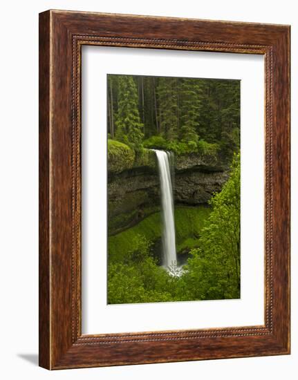 South Falls, Silver Falls State Park, Oregon, Usa-Michel Hersen-Framed Photographic Print