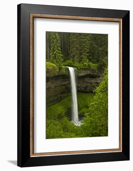 South Falls, Silver Falls State Park, Oregon, Usa-Michel Hersen-Framed Photographic Print
